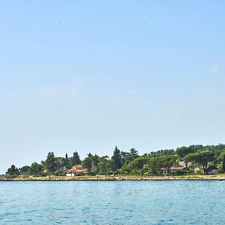 Unique Design Doris *