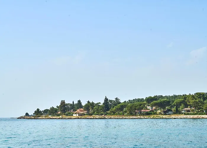 Unique Design Doris *